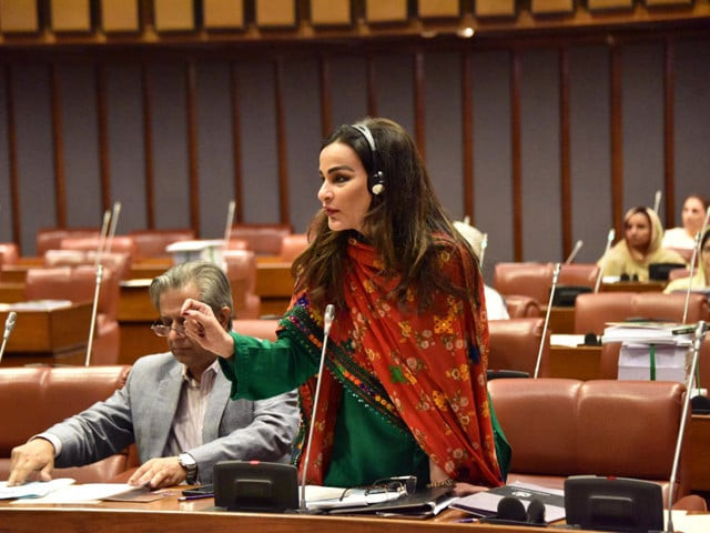 سینیٹ میں PPP نے سخت جریمانوں والے متنازع Telecom bill کو روک دیا