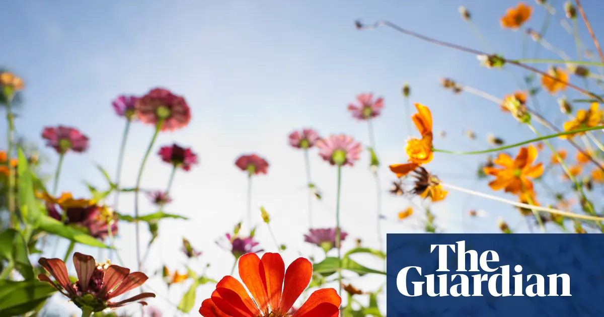 برطانیہ کا حیاتیاتی تنوع کے بحران کا حل: نیا Natural History GCSE ماحولیاتی شعور کی نئی تعریف کرے گا