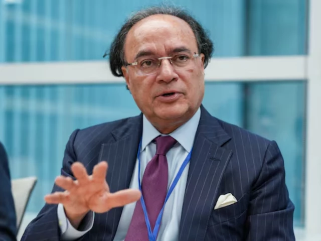 پاکستان کا پہلا پانڈا بانڈ: چینی کیپیٹل مارکیٹ میں باقاعدہ انٹری
