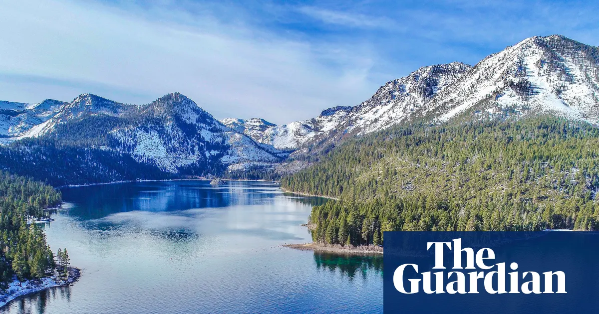 ایک مقدس نیلاہٹ محاصرے میں: Lake Tahoe کے جنگلات کی بحالی پر چھڑنے والی جنگ