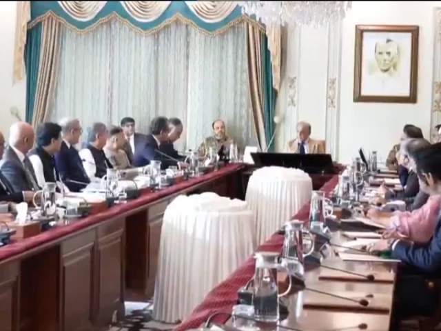 وزیر اعظم شہباز شریف کا گلگت بلتستان میں بجلی کی کمی دور کرنے کے لیے 100 میگاواٹ کے سولر منصوبے میں تیزی لانے کا حکم