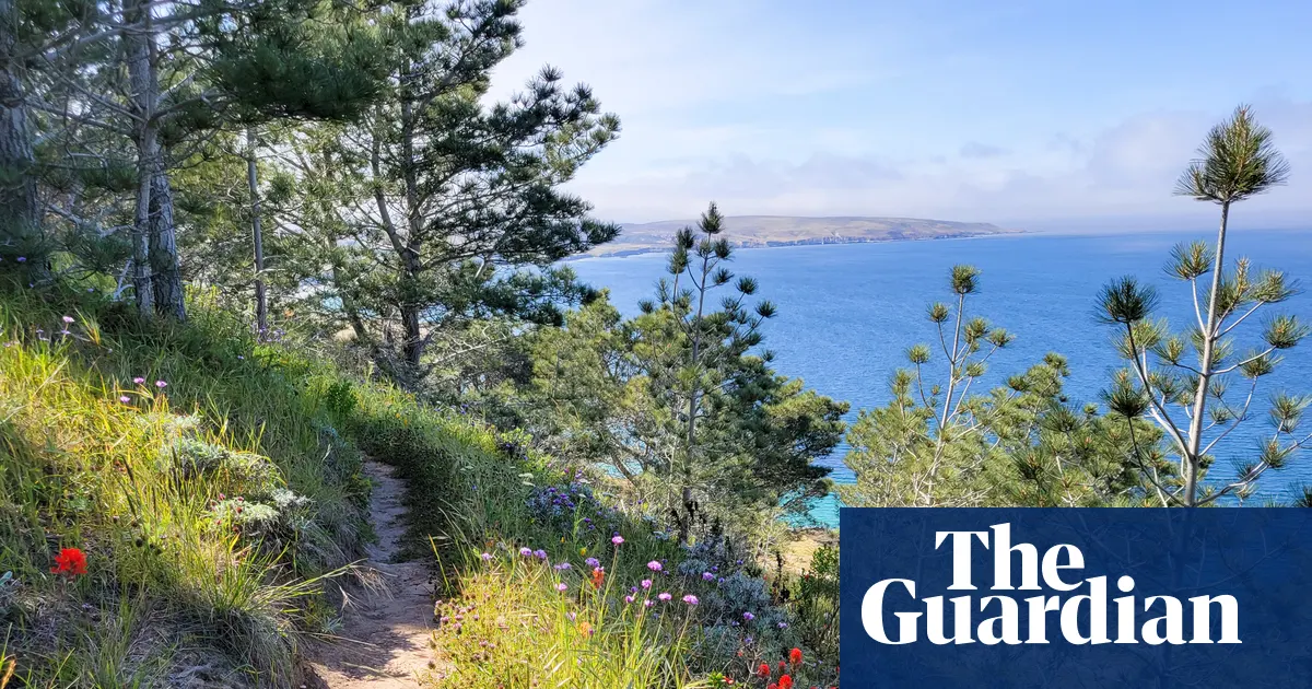 سانتا روزا آئی لینڈ (Santa Rosa Island) کے جنگلات میں لگی آگ نے دنیا کے نایاب ترین پودوں کو خطرے میں ڈال دیا