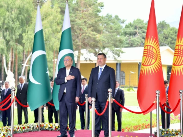 پاکستان اور کرغزستان کے درمیان وسطی ایشیائی رابطوں پر توجہ، صدر آصف علی زرداری نے 21 سالہ سفارتی تعطل ختم کر دیا