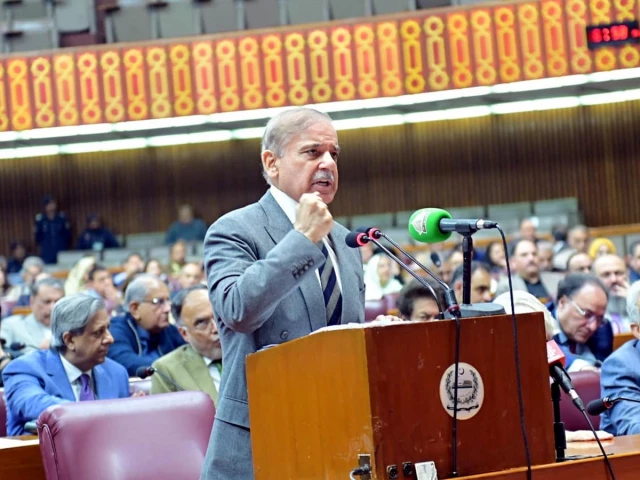 شہباز شریف کی سفارتی کامیابیوں کے درمیان پاکستان میں پیٹرول کی قیمتوں میں بڑی کمی