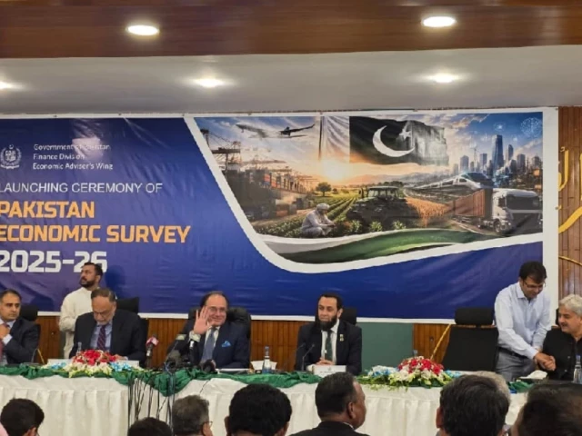 پاکستان کا چار سالہ بلند ترین معاشی ترقی کا دعویٰ، وزارت خزانہ کا IMF اہداف پر دفاعی موقف