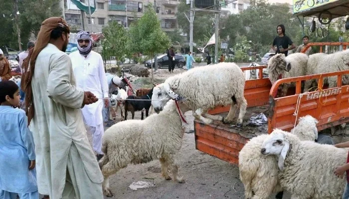 سندھ حکومت نے 2026 کے بجٹ دباؤ کے پیش نظر عید کی توسیعی تعطیلات واپس لے لیں