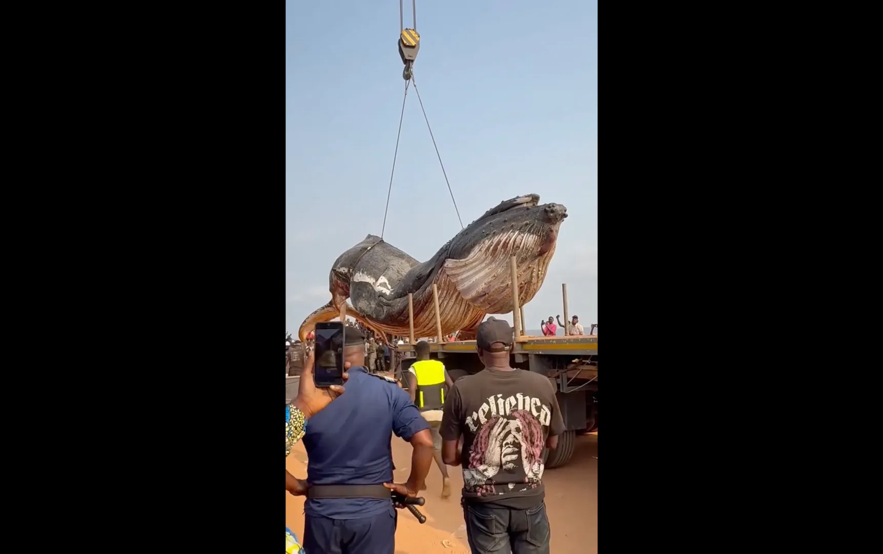 بحر اوقیانوس پر لاجسٹکس کا بحران: DR Congo نے 12 ٹن وزنی وہیل کی باقیات ہٹانے کے لیے بھاری مشینری تعینات کر دی
