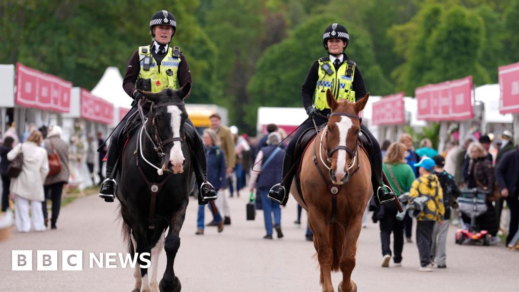 Royal Windsor Horse Show میں گھوڑے سے گر کر برطانوی فوجی ہلاک