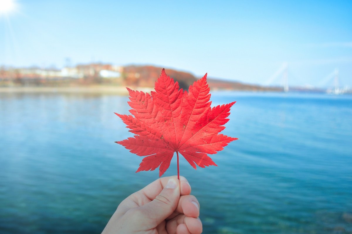 'Lost Canadians' کی پریشانی؛ حکومت نے شہریت کے سرٹیفکیٹ واپس مانگ لیے