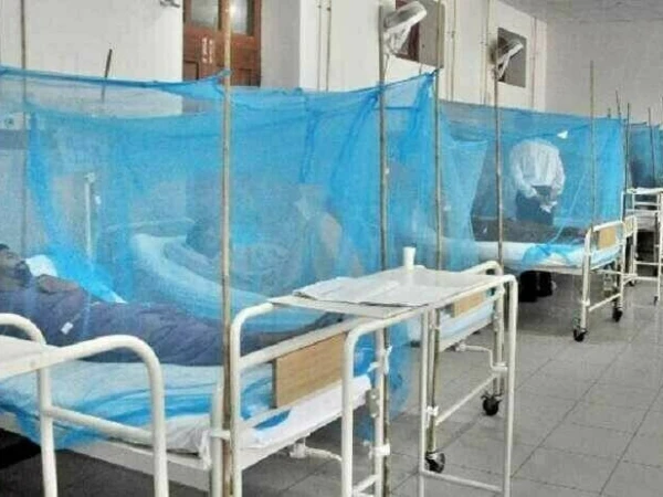راولپنڈی کے ایک لاکھ 80 ہزار سے زائد گھروں میں ڈینگی لاروا کی تصدیق